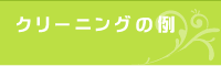 クリーニングの例