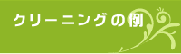 クリーニングの例